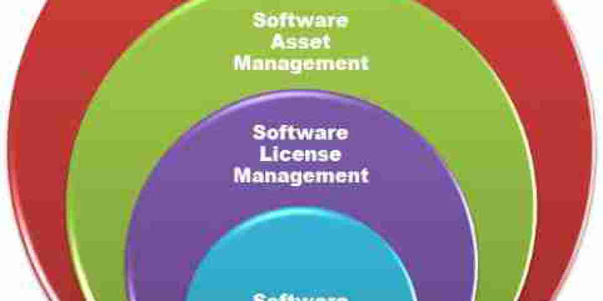 IT Asset Management Software Market Growing Popularity and Emerging Trends to 2032