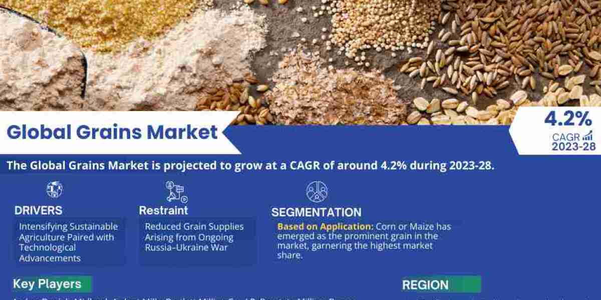 Grains Market Growth, Trends, Revenue, Business Challenges and Future Share 2028: Markntel Advisors