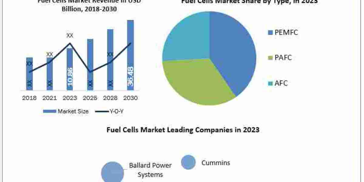 Fuel Cells Market Size, Forecasting Share and Scope for 2024-2030