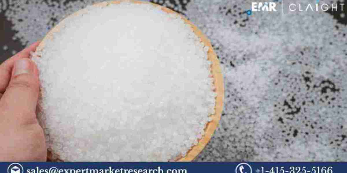 The Booming Global Starch Blended Biodegradable Polymers Market: An In-Depth Analysis