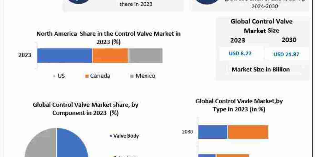 Control Valve Market Growth, Trends, Demands and Key vendors from 2024 to 2030