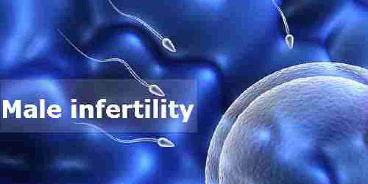 Male Infertility Market Size, Competitors Strategy, Regional Analysis by Forecast to 2031