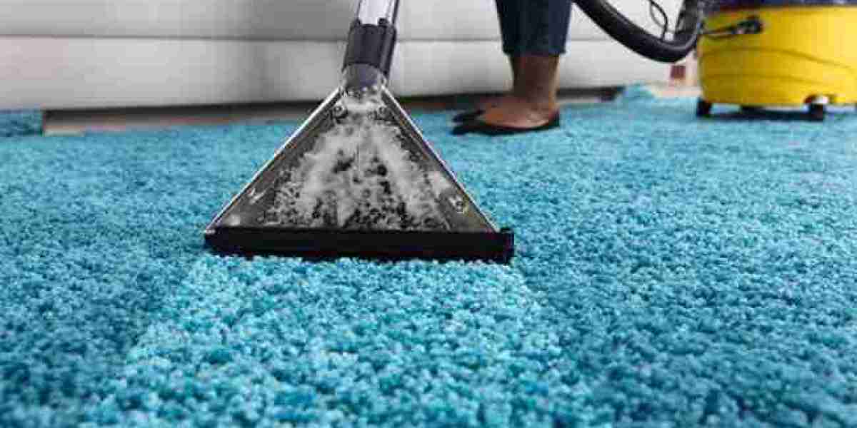 Combat Dust Mites with Professional Carpet Cleaning