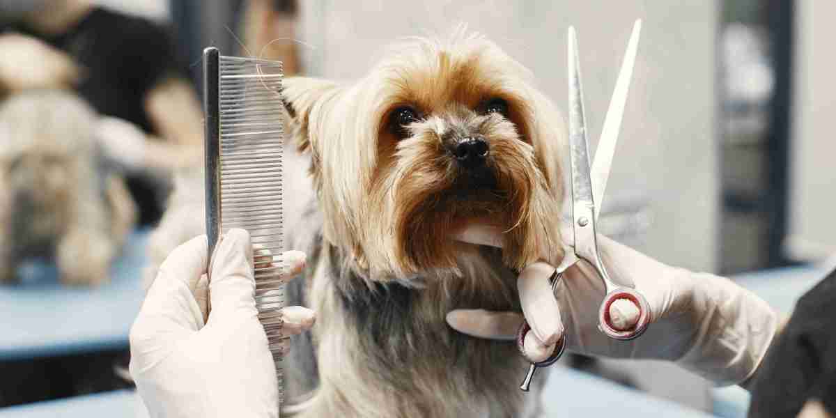 The Best Brushes for Different Pet Coat Types
